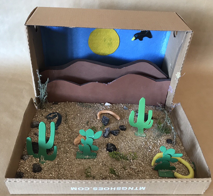 Recursos de la propuesta educativa: "Exploradores del mundo natural: creando y navegando por los ecosistemas".