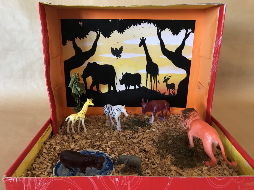 Recursos de la propuesta educativa: "Exploradores del mundo natural: creando y navegando por los ecosistemas".