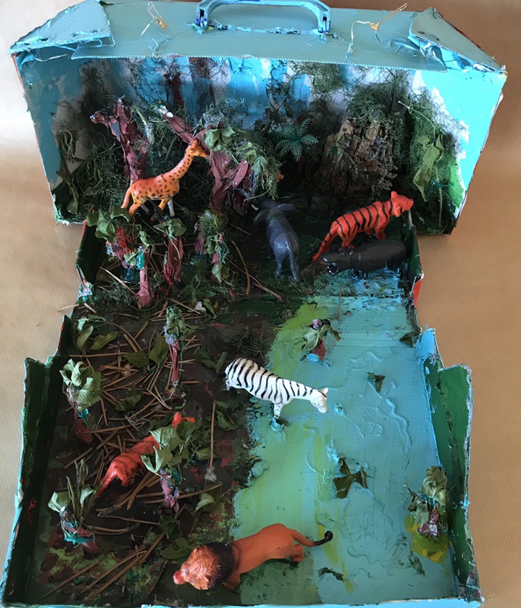 Recursos de la propuesta educativa: "Exploradores del mundo natural: creando y navegando por los ecosistemas".