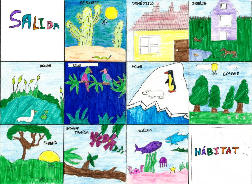 Recursos de la propuesta educativa: "Exploradores del mundo natural: creando y navegando por los ecosistemas".
